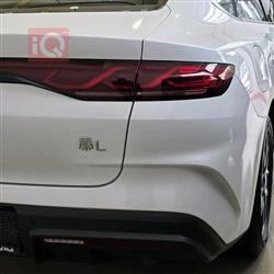 بي واي دي كوين L DM-i